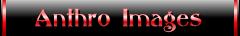 anthro images page header